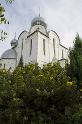 Similar image 1484204