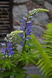 Similar image 1484299