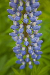 Similar image 1484309