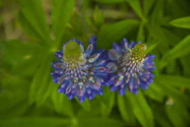 Similar image 1484314