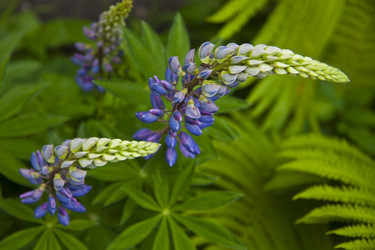 Similar image 1484316