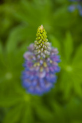 Similar image 1484317