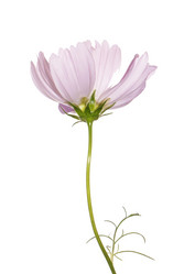 Similar image 1484382