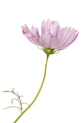 Similar image 1484383