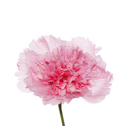 Similar image 1484385