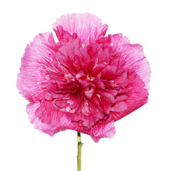 Similar image 1484386