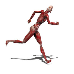 Similar image 1484398