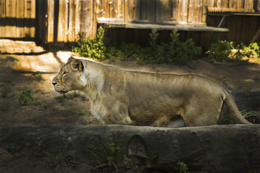 Similar image 1484430