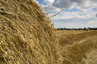 Similar image 1484442