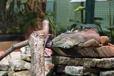 Similar image 1484450