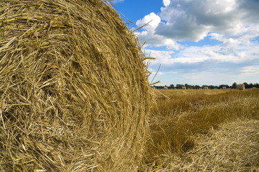 Similar image 1484451