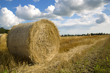 Similar image 1484452