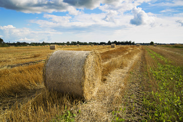 Similar image 1484460