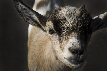 Similar image 1484464