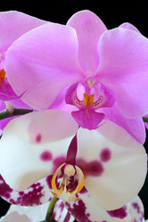 Similar image 1484465