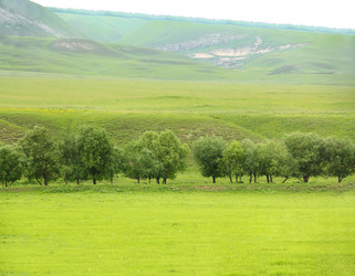 Similar image 1484558