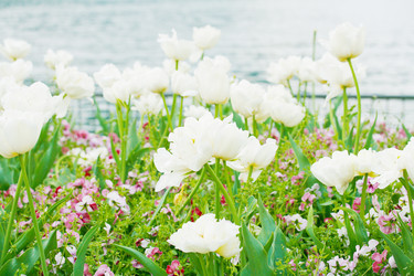 Similar image 1484574