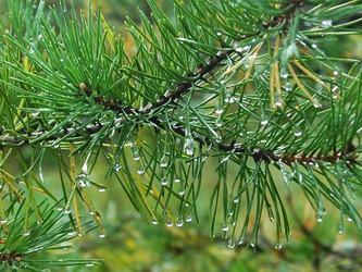 Similar image 1484635