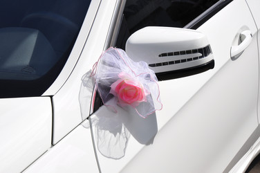 Similar image 1484646