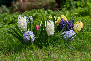 Similar image 1484664