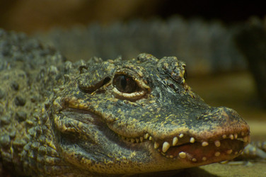 Similar image 1484665