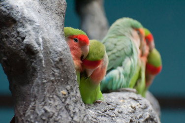 Similar image 1484667