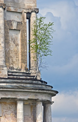 Similar image 1484679