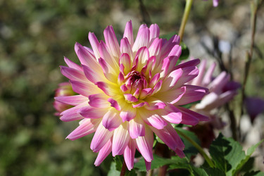 Similar image 1484686