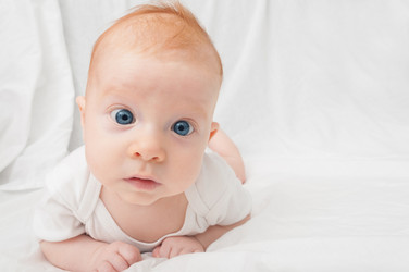 Similar image 1484722