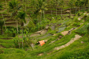 Similar image 1484757