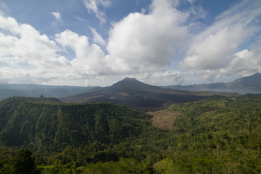 Similar image 1484763