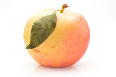 Similar image 1484779