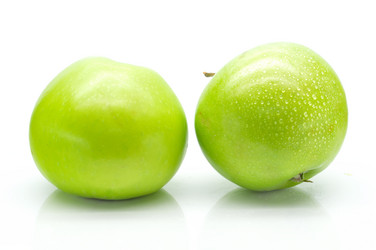 Similar image 1484782