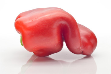 Similar image 1484783