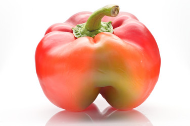 Similar image 1484787