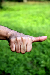 Similar image 1484826