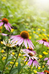 Similar image 1484829