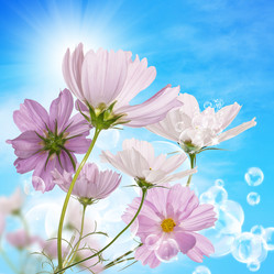 Similar image 1484830