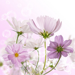 Similar image 1484831