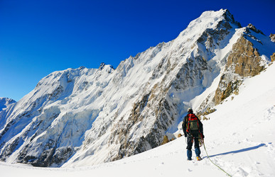 Similar image 1484834