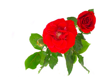 Similar image 1484850