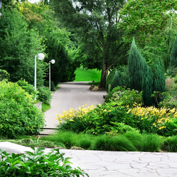 Similar image 1484881