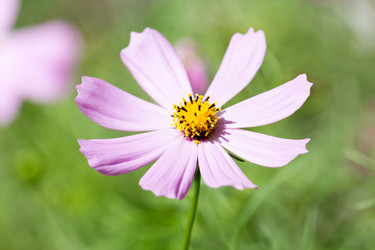 Similar image 1484883