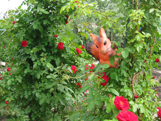 Similar image 1484884