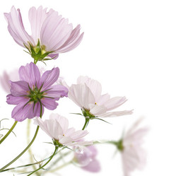 Similar image 1484959