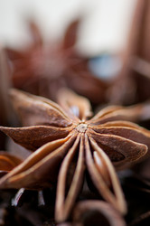 Similar image 1484983