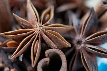 Similar image 1484985