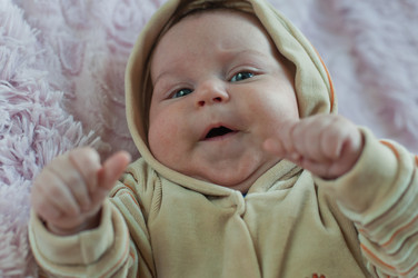 Similar image 1485112