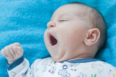 Similar image 1485138