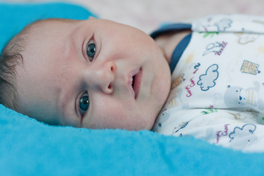 Similar image 1485140